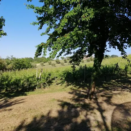 Οργανωμένο κάμπινγκ La Bolla Del Borgo. Le Marche Tra Le Stelle. Corinaldo