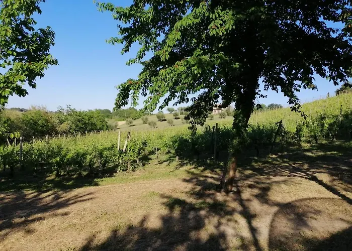 Glamping La Bolla Del Borgo. Le Marche Tra Le Stelle. Corinaldo