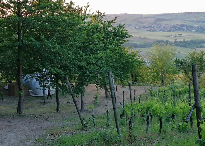 La Bolla Del Borgo. Le Marche Tra Le Stelle. Glamping Corinaldo