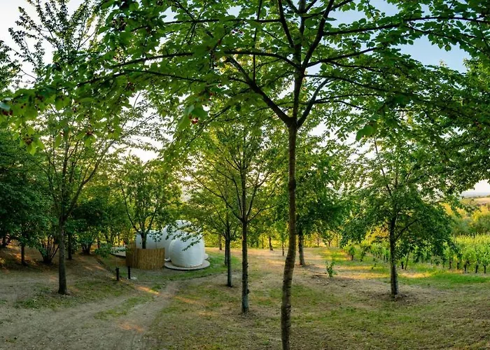 La Bolla Del Borgo. Le Marche Tra Le Stelle. Glamping