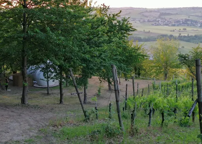 La Bolla Del Borgo. Le Marche Tra Le Stelle. * Corinaldo