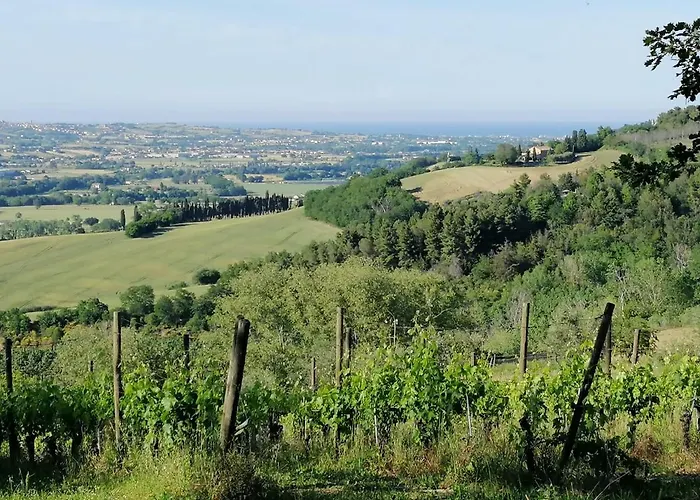 Glamping La Bolla Del Borgo. Le Marche Tra Le Stelle.